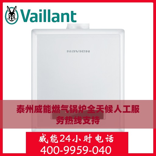 泰州威能燃气锅炉全天候人工服务热线支持