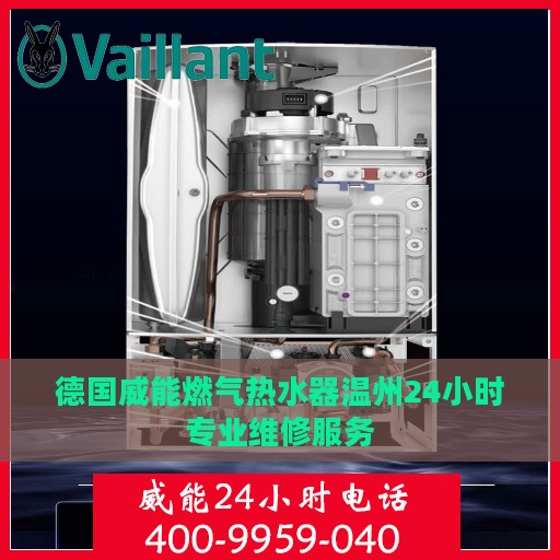 德国威能燃气热水器温州24小时专业维修服务