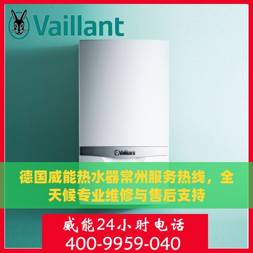 德国威能热水器常州服务热线，全天候专业维修与售后支持