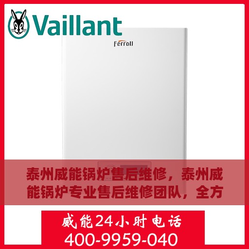 泰州威能锅炉售后维修，泰州威能锅炉专业售后维修团队，全方位服务保障您的锅炉运行无忧！