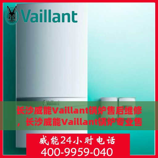 长沙威能Vaillant锅炉售后维修，长沙威能Vaillant锅炉专业售后维修服务