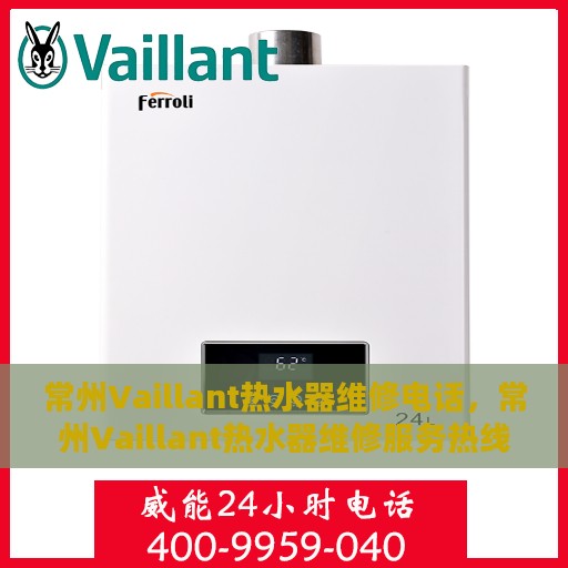 常州Vaillant热水器维修电话，常州Vaillant热水器维修服务热线