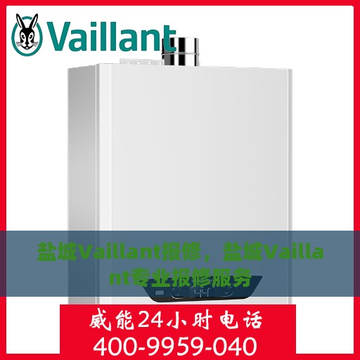 盐城Vaillant报修，盐城Vaillant专业报修服务