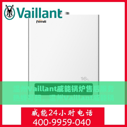 温州Vaillant威能锅炉售后服务热线号码，温州Vaillant威能锅炉售后服务热线详解，专业、高效的维修与支持团队为您服务