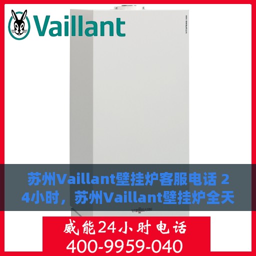 苏州Vaillant壁挂炉客服电话 24小时，苏州Vaillant壁挂炉全天候客服热线，专业解答与快速服务