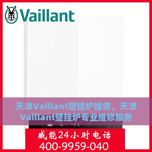 天津Vaillant壁挂炉维修，天津Vaillant壁挂炉专业维修服务