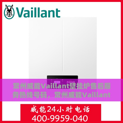 常州威能Vaillant壁挂炉售后服务热线号码，常州威能Vaillant壁挂炉售后服务热线详解，专业、高效的维修支持体验