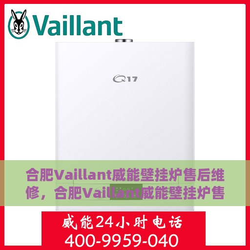 合肥Vaillant威能壁挂炉售后维修，合肥Vaillant威能壁挂炉售后维修专业服务解析