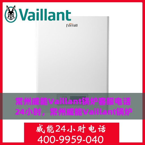 常州威能Vaillant锅炉客服电话 24小时，常州威能Vaillant锅炉全天候客服热线，专业解答与快速服务
