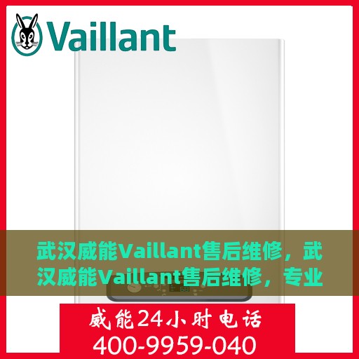 武汉威能Vaillant售后维修，武汉威能Vaillant售后维修，专业团队，贴心服务