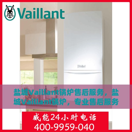 盐城Vaillant锅炉售后服务，盐城Vaillant锅炉，专业售后服务团队，贴心保障您的锅炉运行无忧