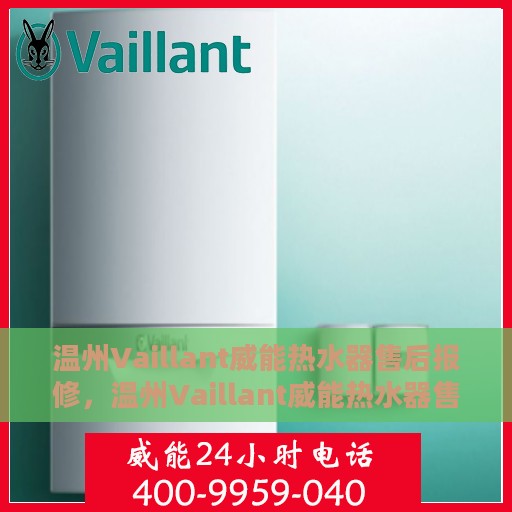 温州Vaillant威能热水器售后报修，温州Vaillant威能热水器售后报修指南，专业维修团队，贴心服务保障您的热水生活