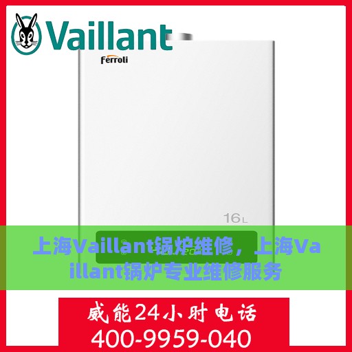 上海Vaillant锅炉维修，上海Vaillant锅炉专业维修服务
