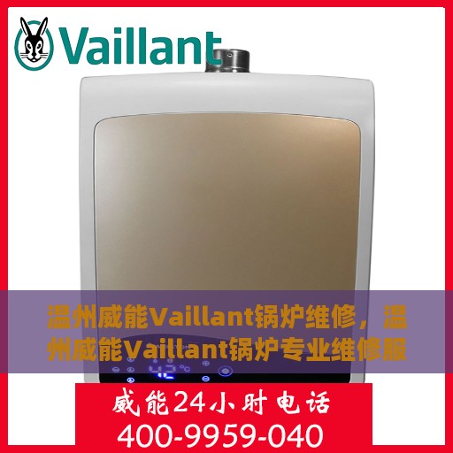 温州威能Vaillant锅炉维修，温州威能Vaillant锅炉专业维修服务