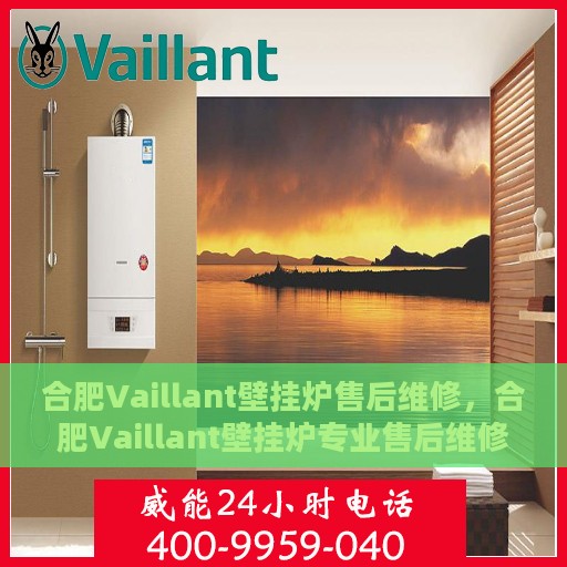 合肥Vaillant壁挂炉售后维修，合肥Vaillant壁挂炉专业售后维修服务