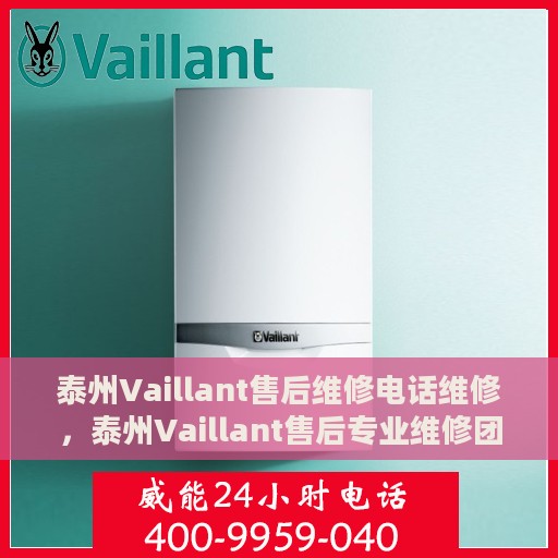泰州Vaillant售后维修电话维修，泰州Vaillant售后专业维修团队联系电话及维修服务详解