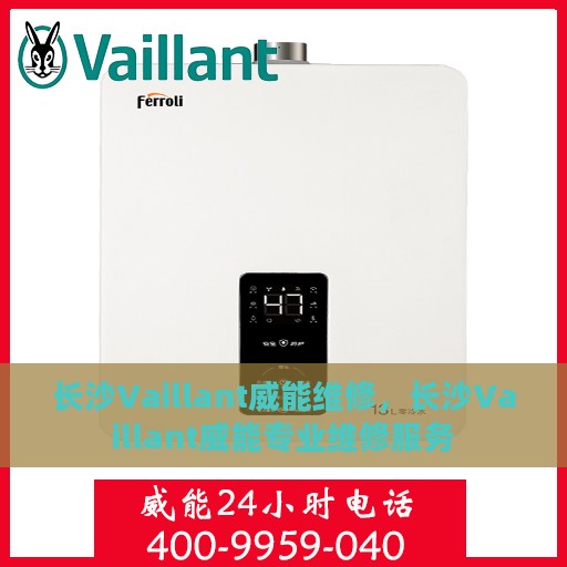 长沙Vaillant威能维修，长沙Vaillant威能专业维修服务