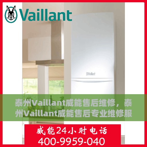 泰州Vaillant威能售后维修，泰州Vaillant威能售后专业维修服务